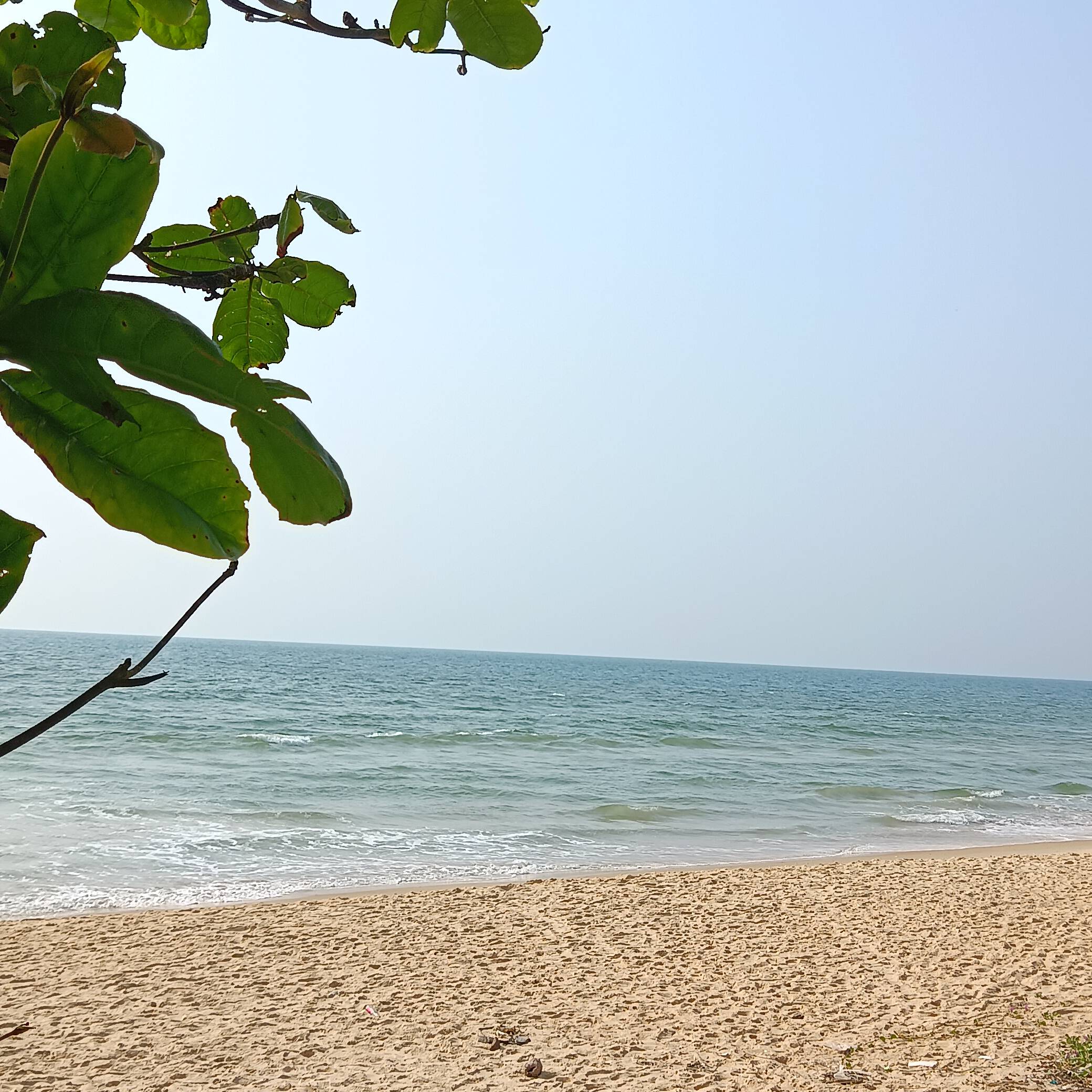 Discover the Unmatched Beauty of Surathkal Beach: A Hidden Gem on Karnataka’s Coast