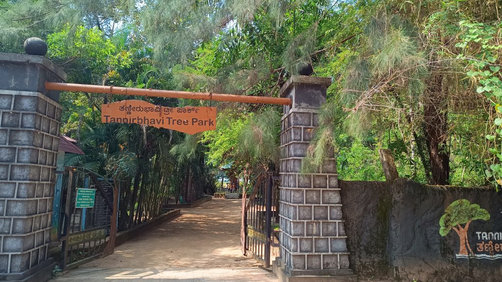 Tannirbhavi Tree Park near Tannirbhavi beach