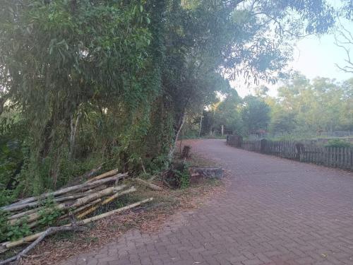 Pathway for walking Pilikula biological Park