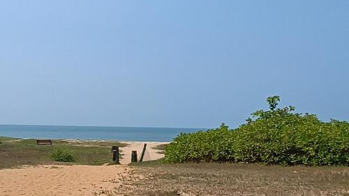 beach side at tannirbhavi tree park