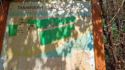 tannirbhavi tree park map